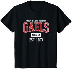 Saint Mary's College Gaels Est. Date T-Shirt -Vest Shirt Sales A1jKzO1adL. CLa7C5002C4687C716ECK7N6cL.png7C02C02C5002C4682B0.02C0.02C500.02C468.0 AC