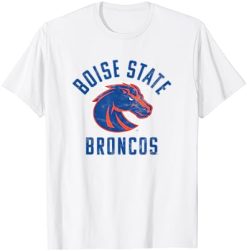 Boise State University BSU Broncos Large T-Shirt -Vest Shirt Sales A1ntnF3PJOL. CLa7C5002C4687C81JWZ7ZOu4L.png7C02C02C5002C4682B0.02C0.02C500.02C468.0 AC