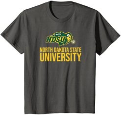 North Dakota State University NDSU Bison Distressed Stacked T-Shirt -Vest Shirt Sales B1oSfuj1GkS. CLa7C5002C4687C712BSBPIaEML.png7C02C02C5002C4682B0.02C0.02C500.02C468.0 AC