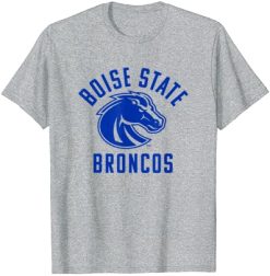 Boise State University BSU Broncos Large One Color T-Shirt -Vest Shirt Sales C1ce8y0uOwS. CLa7C5002C4687C71AuRfHsy1L.png7C02C02C5002C4682B0.02C0.02C500.02C468.0 AC